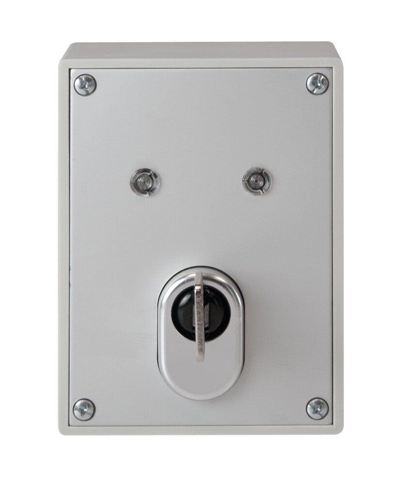 ABUS SE1010 Schlüsselschalter für ABUS-Alarmanlage