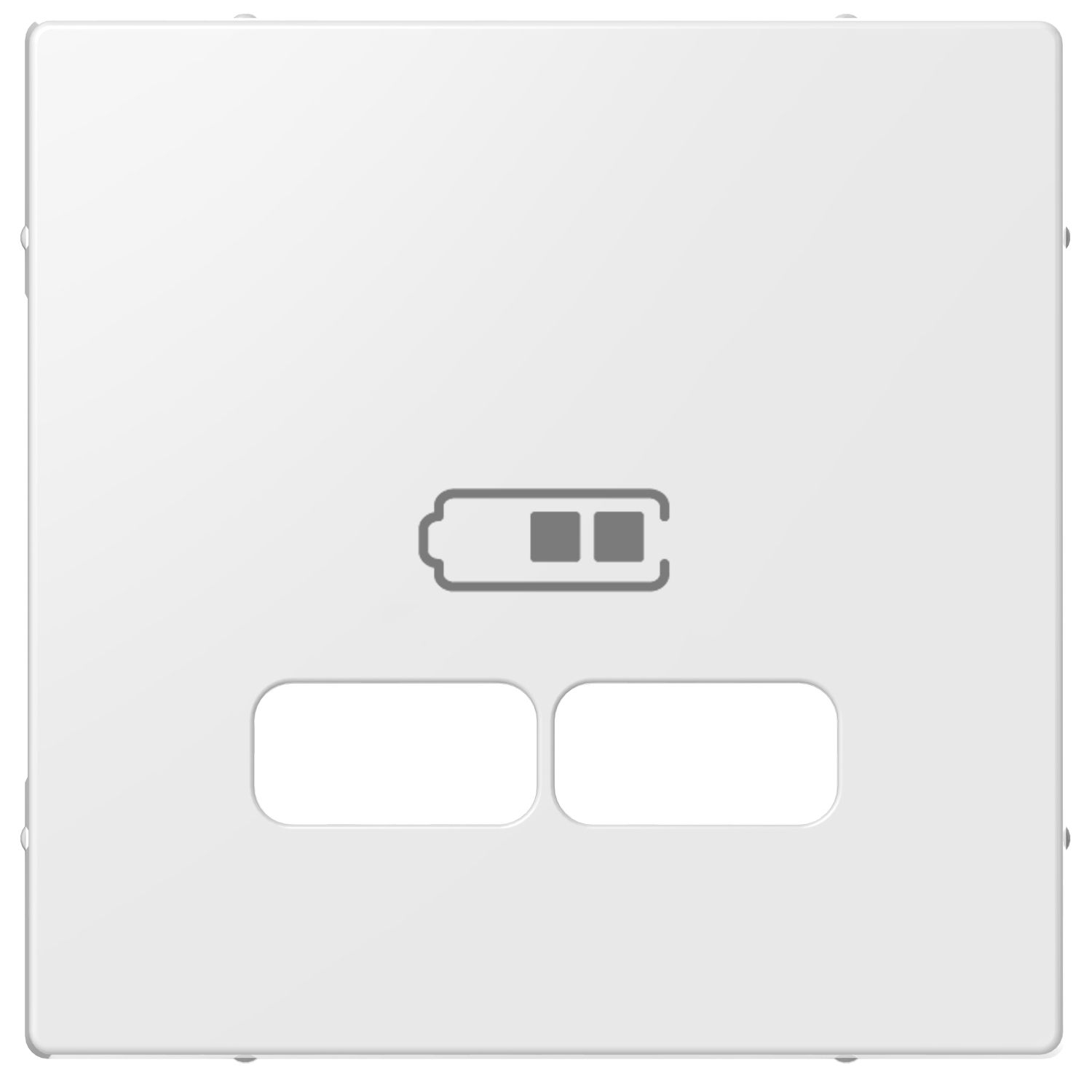 Elso ELG363204 Zentralplatte für USB Ladestation-Einsatz, Joy, reinweiß glänzend