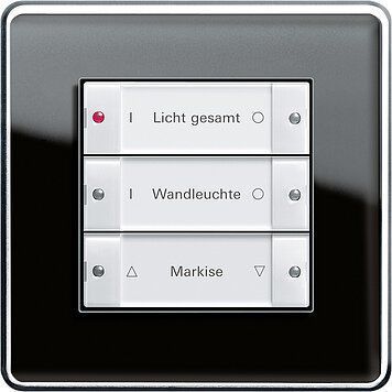 Gira 5333100 eNet Funk Wandsender 3-fach, System 55, Wippen mit Beschriftungsfeld
