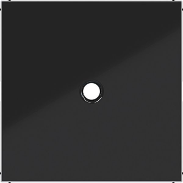 Hager WAF1048BG Zentralstück für Zugschalter/-taster, A.x/C.x, nachtschwarz glänzend