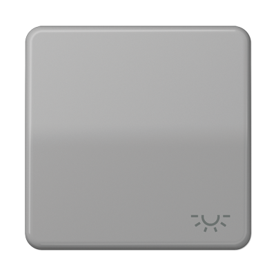 Jung CD590LGR Wippe, Symbol Licht, Duroplast, Serie CD, grau