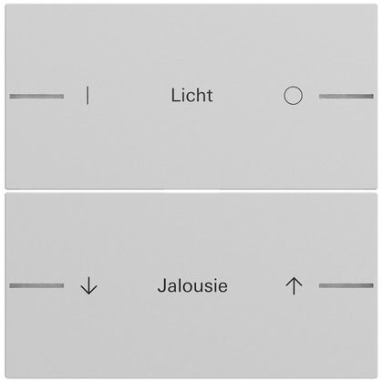 Gira 862276 Ersatzwippe für Wippenset 2-fach individuell für Tastsensor 4.70, grau matt lackiert