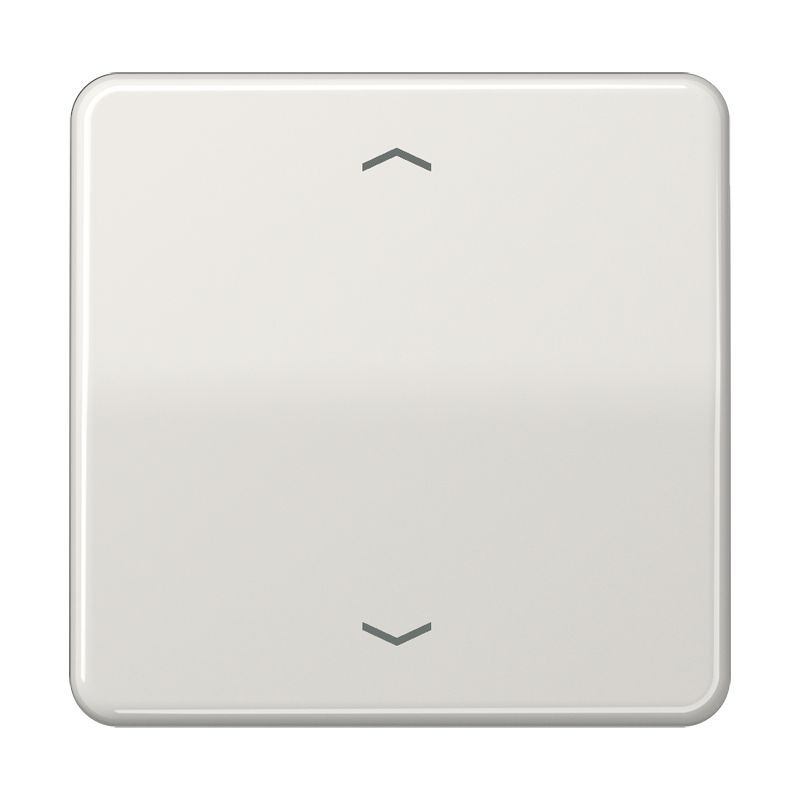 Jung CD101PLG Wippe, mit Pfeilsymbolen für Taster 1-fach, Duroplast, F10, Serie CD, lichtgrau