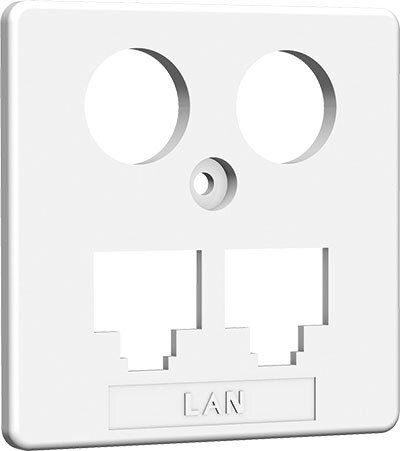 Homeway Zentralplatte HAXHSE-G0401-C021 für LAN/LAN-Modul 50x50mm