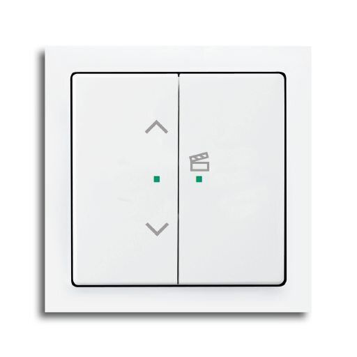 Busch-Jaeger 6233-22-84 Wippe 2-fach rechts mit Symbol Szene