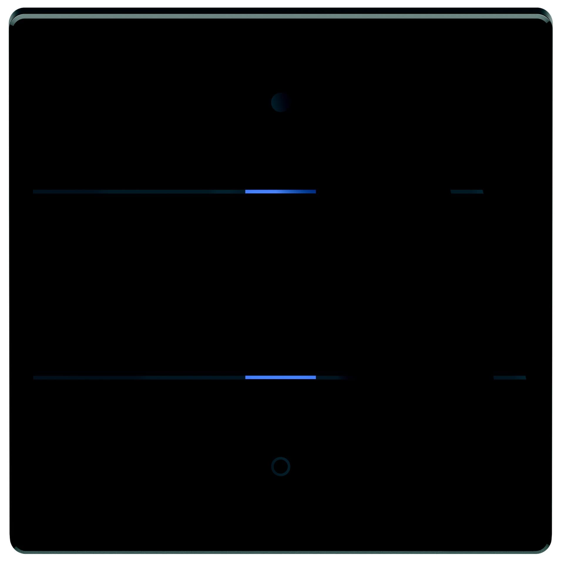 Theben 4804412 LUXORliving iON2, Glas-Tastsensor mit 2 Tasten und 2 Status-LEDs, integrierter Temperatursensor, schwarz