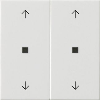 Gira 538603 Wippe 2-fach Pfeile Kontrollfenster, System 55, reinweiß