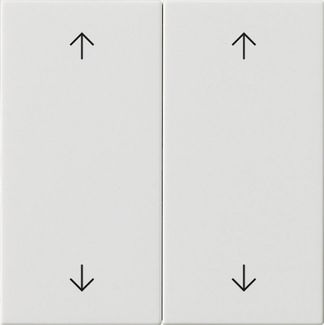 Gira 538703 Wippe 2-fach Pfeile, System 55, reinweiß