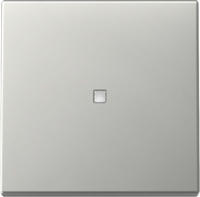 Gira 3290600 Wippe Kontrollfenster, System 55, Edelstahl