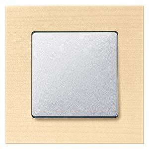 Siemens 5TG1101-3 Echtholzrahmen 1-fach