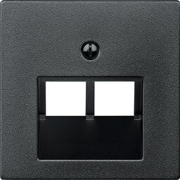 Merten 298014 Zentralplatte für UAE-Einsatz, 2-fach, System M, anthrazit