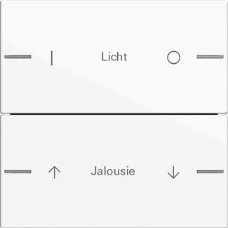 Gira 576203 Wippenset 2-fach individuell Tastsensor 4.55, Reinweiß