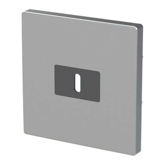 Busch-Jaeger 6479-866 Zentralscheibe für USB Ladestation 1-fach mit USB-C-Anschluss, pur Edelstahl, edelstahl matt