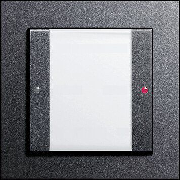 Gira 213128 Wippenset 1-fach mit Beschriftungsfeld, System 55, Klar/anthrazit