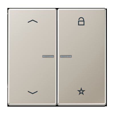 Jung FMES1701P eNet Taster Universal 1-fach, mit Pfeilsymbolen, Serie LS, Edelstahl