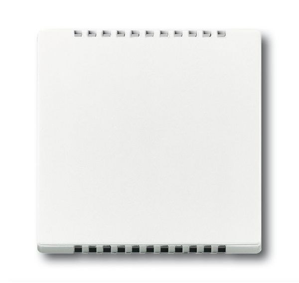 Busch-Jaeger 6541-84 Zentralscheibe für Kühlteil für Unterputz-Drehdimmer, studioweiß glänzend, Plattform 63