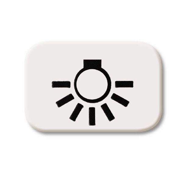 Busch-Jaeger 2525 LI-214 Tastersymbol Licht, alpinweiß glänzend, Reflex SI