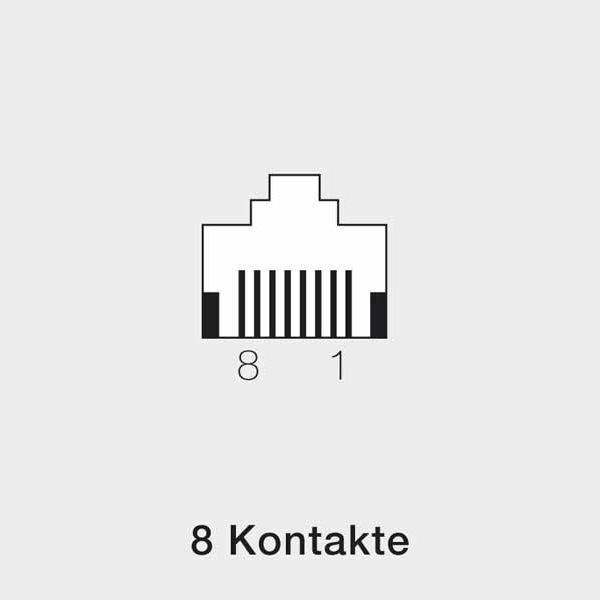 Rutenbeck 13010245 UAE-Anschlussdose, 1-fach, Unterputz, 8-polig, 8 Schraubkontakte, mit Spreizkrallen, reinweiß