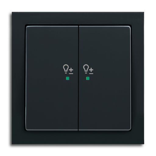 Busch-Jaeger 6234-22-81 Wippe 2-fach rechts mit Symbol Dimmer