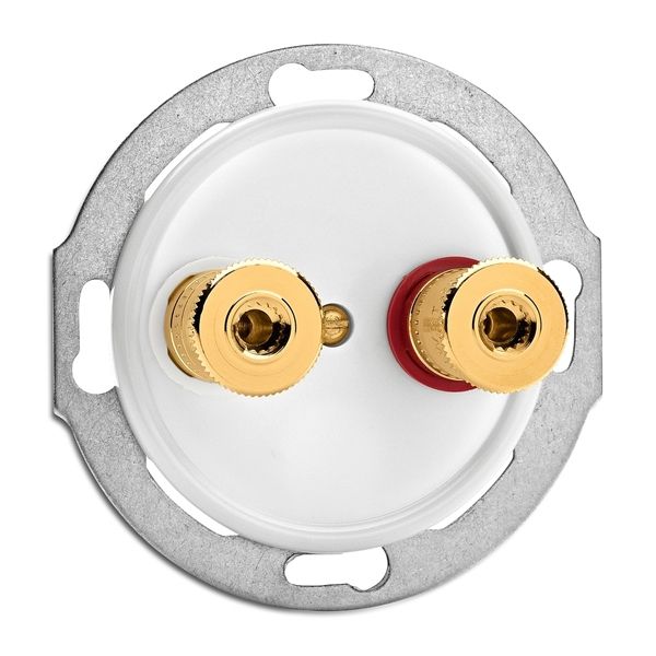 THPG 100739 Lautsprecheranschluss WBT Duroplast, weiß