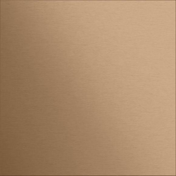 Gira 5554921 Frontplatte Info-/Blindmodul, System 106, Bronze