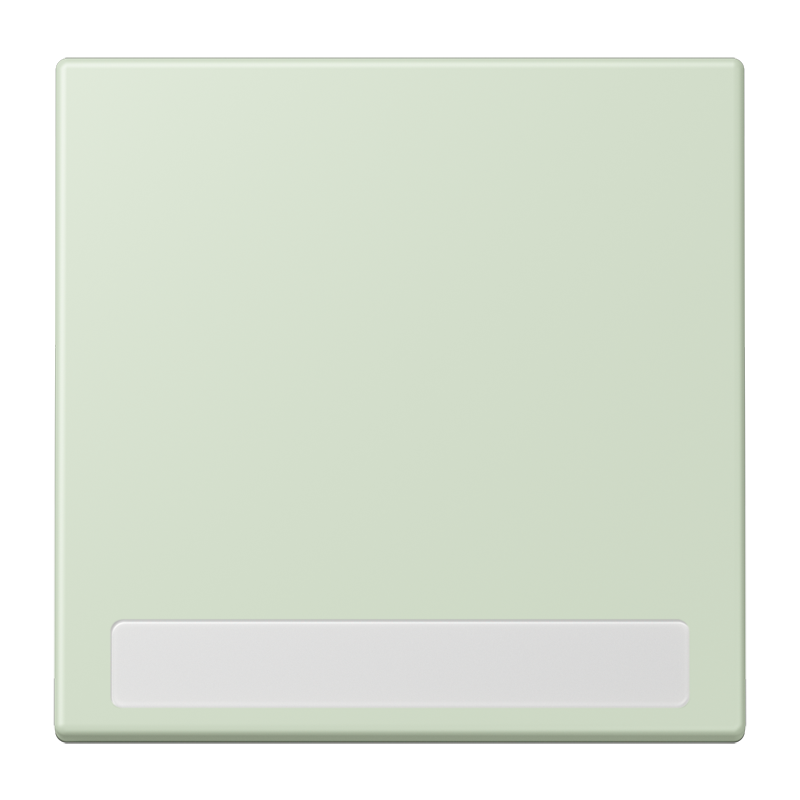 Jung LC990NA218 Wippe 1-fach, mit Schriftfeld, Les Couleurs® 32042, vert anglais pâle