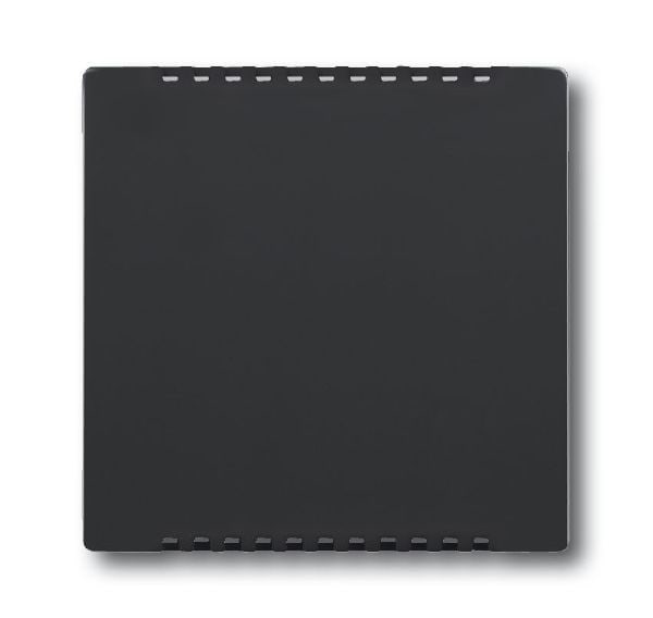 Busch-Jaeger 6541-81 Zentralscheibe für Kühlteil für Unterputz-Drehdimmer, anthrazit glänzend, Plattform 63