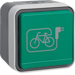 Berker 47403533 Schutzkontakt-Steckdose mit grünem Klappdeckel und Symbol E-Bike Aufputz W.1 grau/lichtgrau