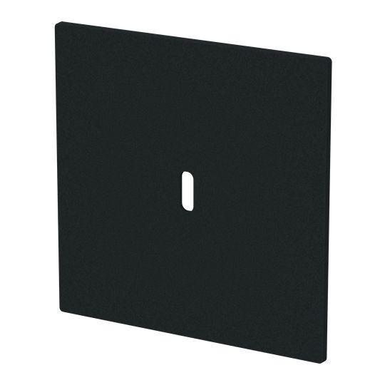 Busch-Jaeger 6479-45M Zentralscheibe für USB Ladestation 1-fach mit USB-C-Anschluss, Busch-art linear, schwarz matt
