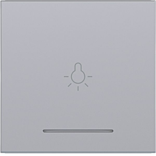 Hager WAW1032TA Wippe 1-fach mit Aufdruck Symbol Licht, klare Linse, A.x/C.x, titan matt