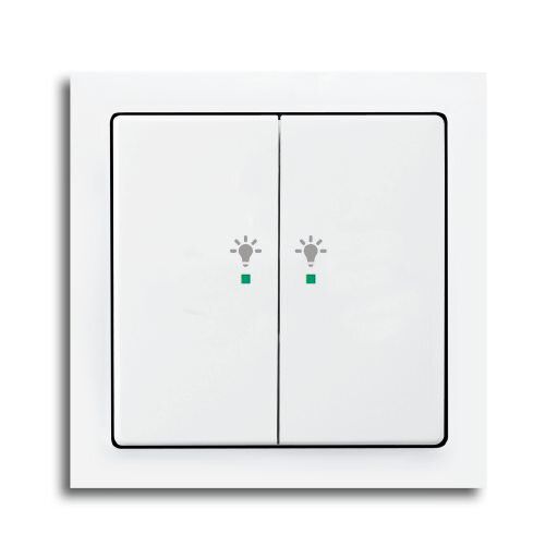 Busch-Jaeger 6231-21-84 Wippe 2-fach links mit Symbol Licht