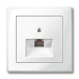 Merten 296219 Zentralplatte für UAE-Einsatz, 1-fach, System M, polarweiß glänzend