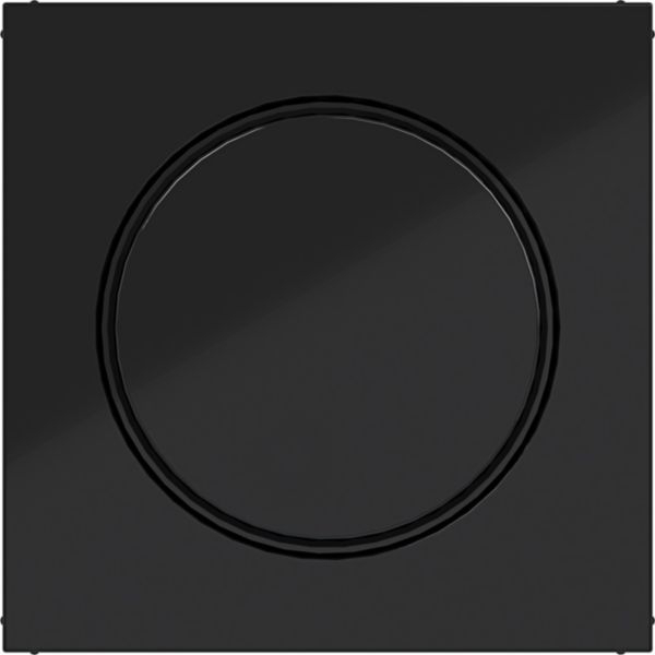 Hager WAN7060BG Zentralstück für Drehdimmer/Drehpotenziometer, A.x/C.x, nachtschwarz glänzend
