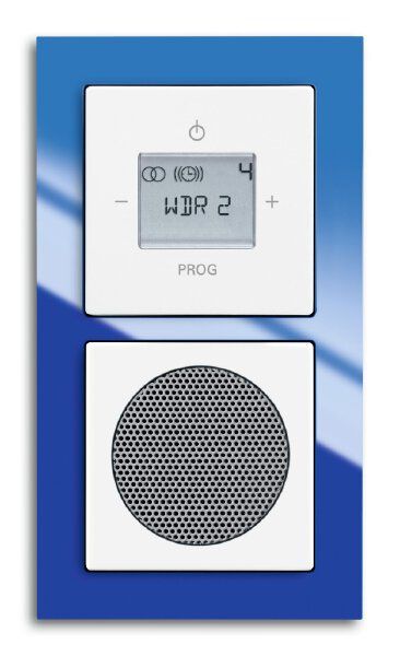 Busch-Jaeger 8215 U-101 Busch-Radio mit DAB+ und RDS-Stereo-Radiowecker, UP