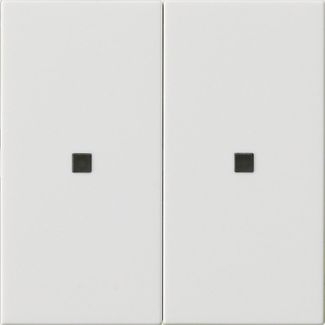 Gira 536903 Wippe 2-fach unbedruckt Kontrollfenster, System 55, reinweiß