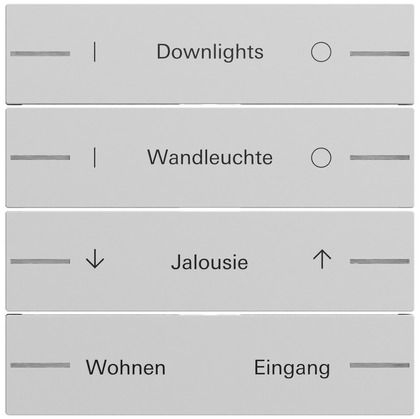 Gira 862476 Ersatzwippe für Wippenset 4-fach individuell für Tastsensor 4.70, grau matt lackiert