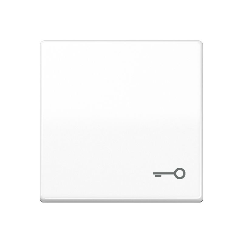 Jung SPAS591TWW Wippe, Symbol Tür, Duroplast antimikrobiell, Serie AS, alpinweiß