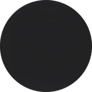 Berker MAN0306524 Taste 1-fach, R.Classic, schwarz matt