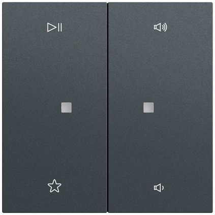 Gira 538473 Wippe 2-fach Audiosteuerung, System 70, anthrazit (lackiert)