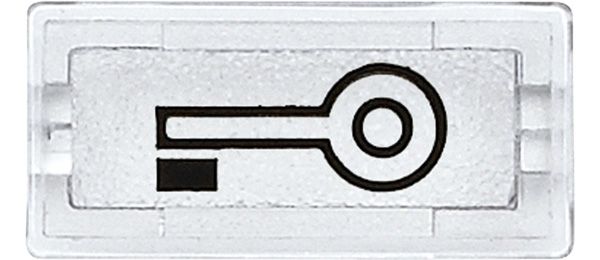Merten 395769 Symbol "Schlüssel" transparent