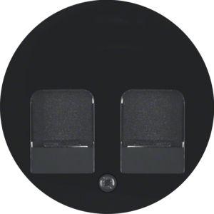 Berker 11812045 Zentralstück mit 2 Staubschutzschiebern, R.1/R.3, schwarz glänzend