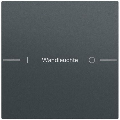 Gira 576173 Wippenset 1-fach individuell für Tastsensor 4.70, System 70, anthrazit (lackiert)