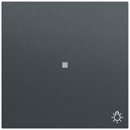Gira 367473 Wippe mit Kontrollfenster und Symbol Licht, System 70, anthrazit (lackiert)