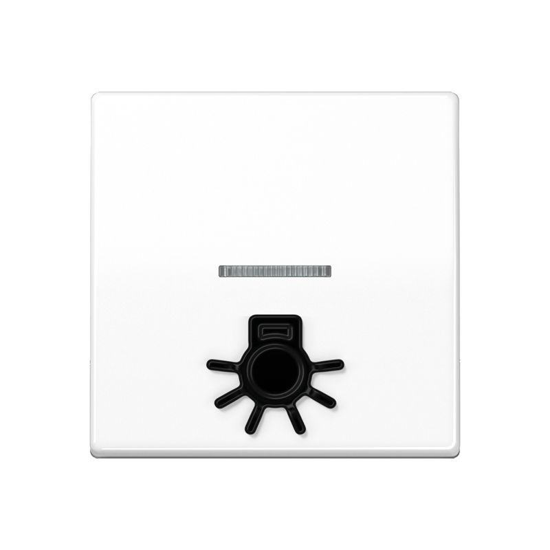 Jung SPAS591L1KO5WW Wippe mit Lichtleiter, mit tastbarem Symbol Licht, Duroplast antimikrobiell, Serie AS, alpinweiß