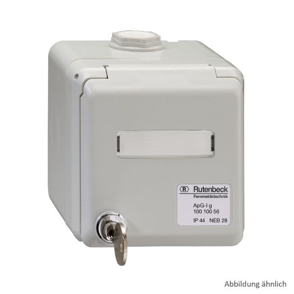 Rutenbeck 13910556 Aufputzgehäuse für Industrieeinsatz, IP44