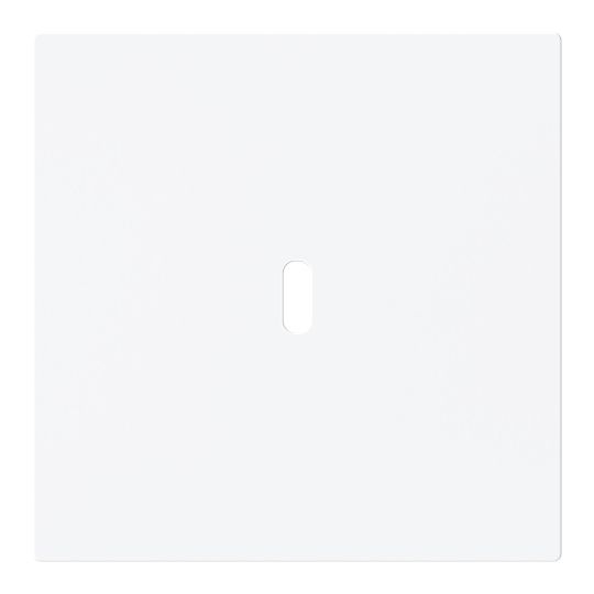 Busch-Jaeger 6479-44M Zentralscheibe für USB Ladestation 1-fach mit USB-C-Anschluss, Busch-art linear, studioweiß matt