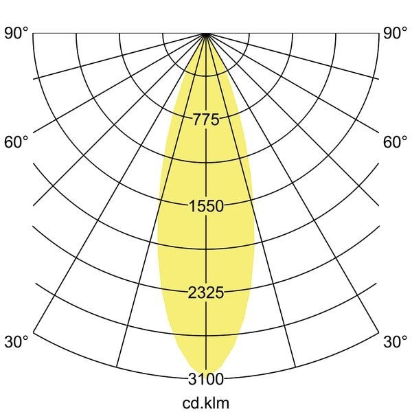 Brumberg 88397183 LED-Schienenstrahler, rund, 31,5 W, 3000 K, 4.010 lm, schwarz