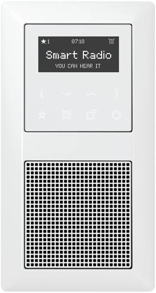 Jung DABA1WW Smart Radio DAB+, Set Mono, Serie AS/A, alpinweiß