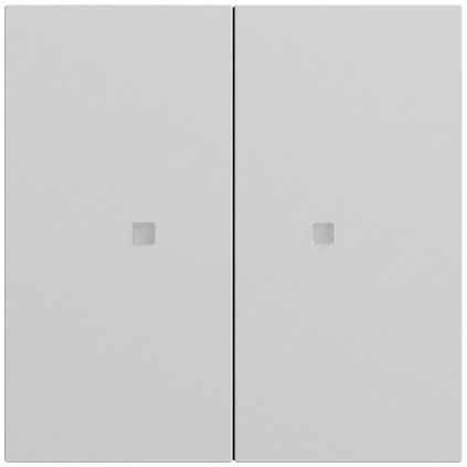 Gira 517376 Taster mit Wippe 2-fach für Gira One und KNX, System 70, grau matt (lackiert)