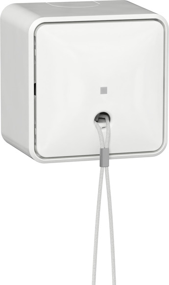 Gira 314613 Zugschalter  mit Montageplatte, Universal-Aus-Wechselschalter, Reinweiß